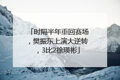 时隔半年重回赛场，樊振东上演大逆转，3比2徐瑛彬