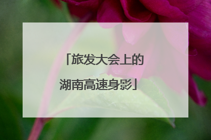 旅发大会上的湖南高速身影
