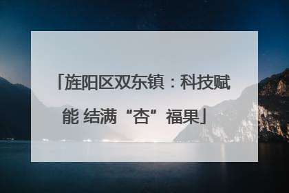 旌阳区双东镇：科技赋能 结满“杏”福果