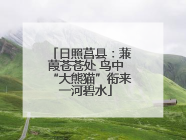 日照莒县：蒹葭苍苍处 鸟中“大熊猫”衔来一河碧水