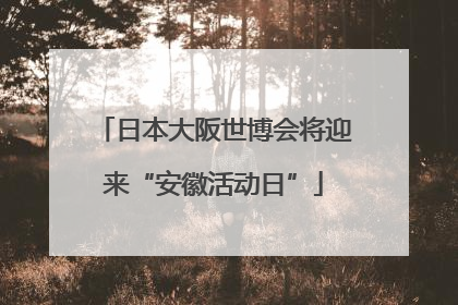 日本大阪世博会将迎来“安徽活动日”