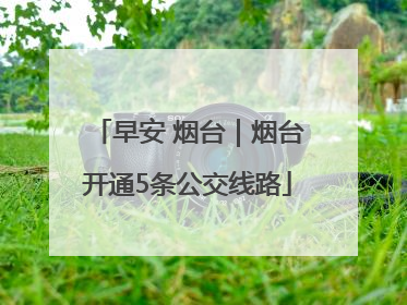 早安 烟台｜烟台开通5条公交线路