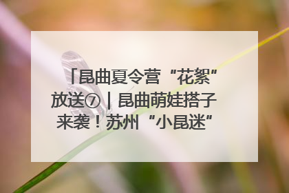 昆曲夏令营“花絮”放送⑦｜昆曲萌娃搭子来袭！苏州“小昆迷”姐弟期待同台演绎“姑苏水磨调”
