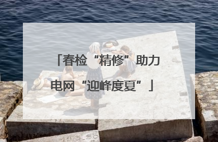 春检“精修”助力电网“迎峰度夏”