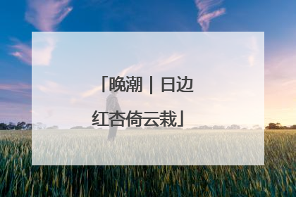 晚潮｜日边红杏倚云栽
