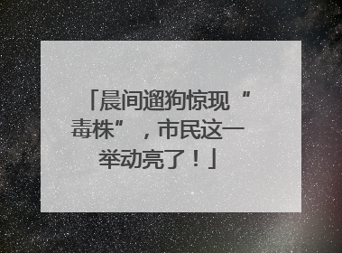 晨间遛狗惊现“毒株”，市民这一举动亮了！