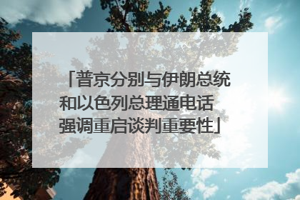 普京分别与伊朗总统和以色列总理通电话 强调重启谈判重要性
