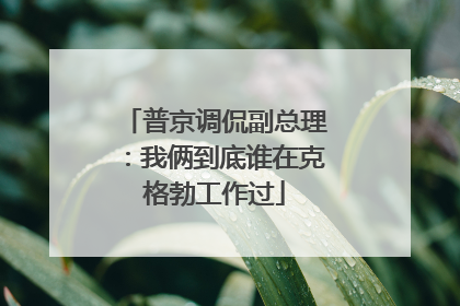 普京调侃副总理：我俩到底谁在克格勃工作过