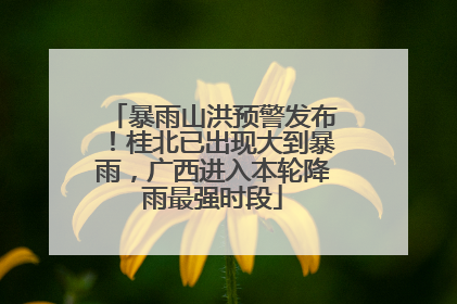 暴雨山洪预警发布！桂北已出现大到暴雨，广西进入本轮降雨最强时段