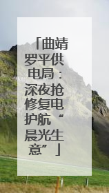 曲靖罗平供电局：深夜抢修复电护航“晨光生意”