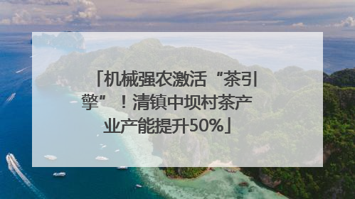 机械强农激活“茶引擎”！清镇中坝村茶产业产能提升50%