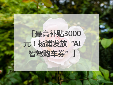 最高补贴3000元！杨浦发放“AI智驾购车券”
