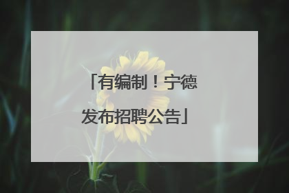 有编制！宁德发布招聘公告