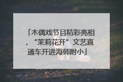 木偶戏节目精彩亮相，“茉莉花开”文艺直通车开进海师附小