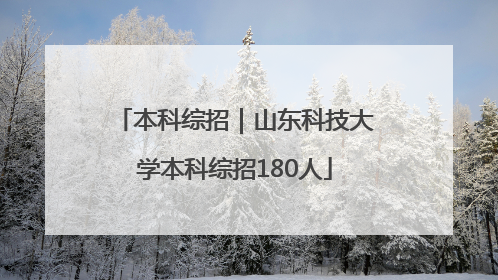 本科综招｜山东科技大学本科综招180人