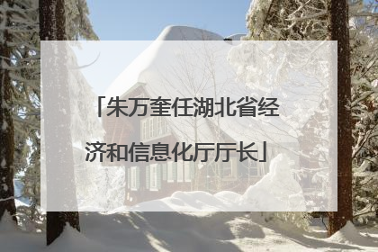 朱万奎任湖北省经济和信息化厅厅长
