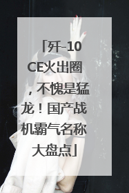 歼-10CE火出圈，不愧是猛龙！国产战机霸气名称大盘点