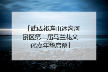 武威祁连山冰沟河景区第二届马兰花文化嘉年华启幕