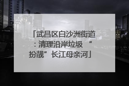 武昌区白沙洲街道：清理沿岸垃圾 “扮靓”长江母亲河
