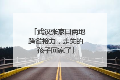 武汉张家口两地跨省接力，走失的孩子回家了