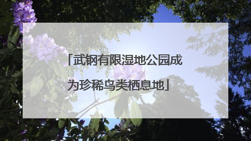武钢有限湿地公园成为珍稀鸟类栖息地