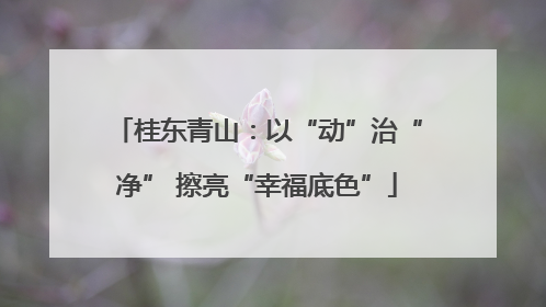 桂东青山：以“动”治“净” 擦亮“幸福底色”