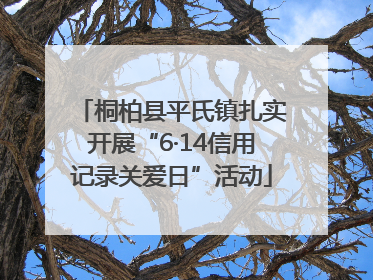桐柏县平氏镇扎实开展“6·14信用记录关爱日”活动