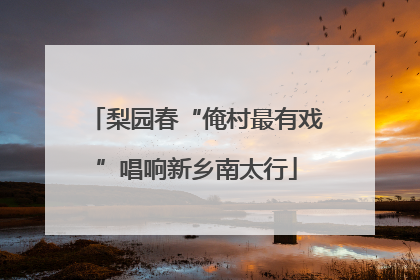 梨园春“俺村最有戏”唱响新乡南太行
