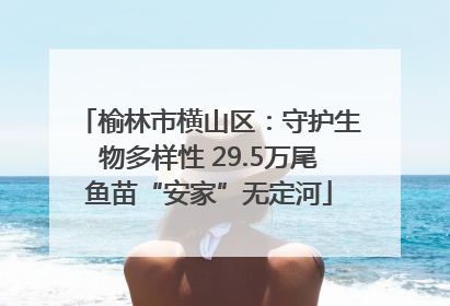 榆林市横山区：守护生物多样性 29.5万尾鱼苗“安家”无定河
