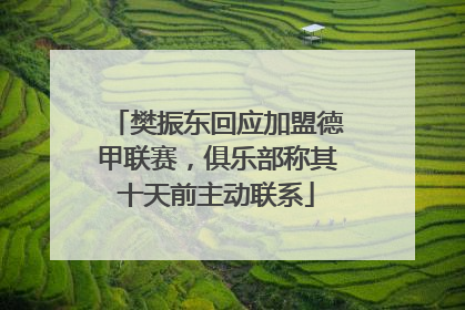 樊振东回应加盟德甲联赛，俱乐部称其十天前主动联系
