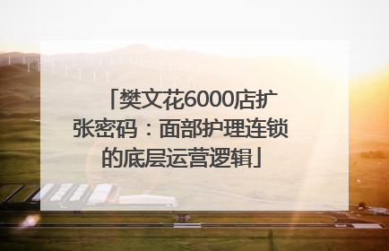 樊文花6000店扩张密码：面部护理连锁的底层运营逻辑
