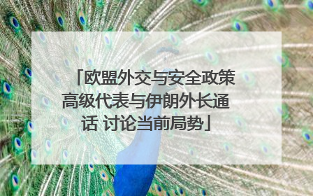 欧盟外交与安全政策高级代表与伊朗外长通话 讨论当前局势