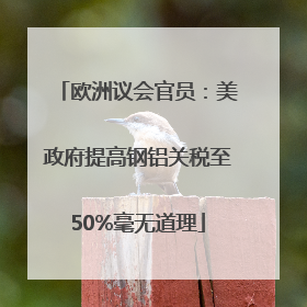 欧洲议会官员：美政府提高钢铝关税至50%毫无道理