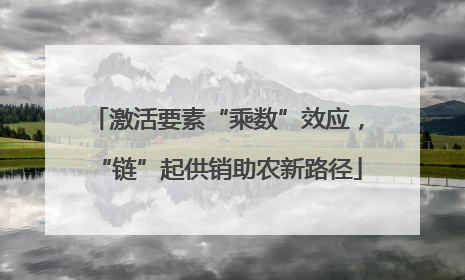 激活要素“乘数”效应，“链”起供销助农新路径