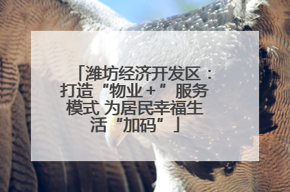 潍坊经济开发区：打造“物业＋”服务模式 为居民幸福生活“加码”