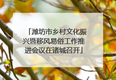 潍坊市乡村文化振兴暨移风易俗工作推进会议在诸城召开