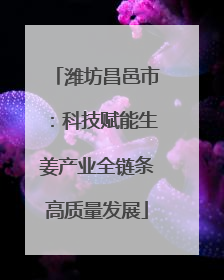 潍坊昌邑市：科技赋能生姜产业全链条高质量发展