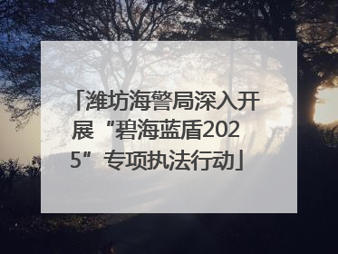 潍坊海警局深入开展“碧海蓝盾2025”专项执法行动