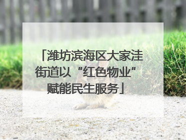 潍坊滨海区大家洼街道以“红色物业”赋能民生服务