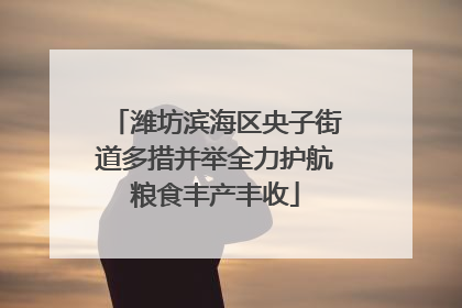 潍坊滨海区央子街道多措并举全力护航粮食丰产丰收