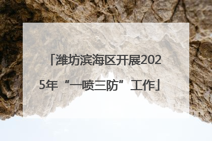 潍坊滨海区开展2025年“一喷三防”工作