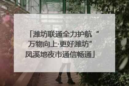 潍坊联通全力护航“万物向上·更好潍坊”凤溪地夜市通信畅通