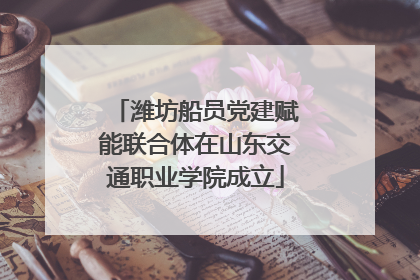 潍坊船员党建赋能联合体在山东交通职业学院成立