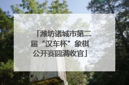 潍坊诸城市第二届“汉车杯”象棋公开赛圆满收官