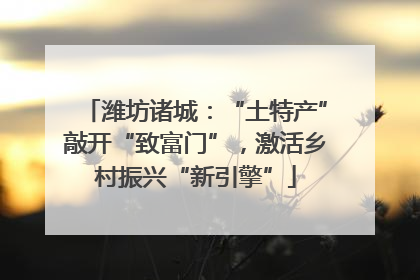 潍坊诸城：“土特产”敲开“致富门”，激活乡村振兴“新引擎”