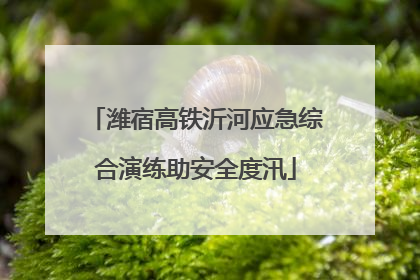 潍宿高铁沂河应急综合演练助安全度汛