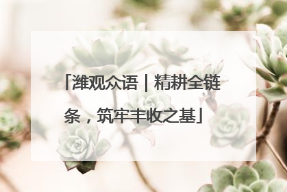 潍观众语｜精耕全链条，筑牢丰收之基