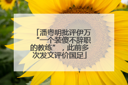 潘粤明批评伊万“一个装傻不辞职的教练”，此前多次发文评价国足