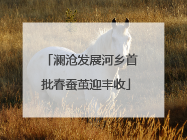 澜沧发展河乡首批春蚕茧迎丰收