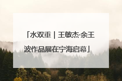 水双重｜王敏杰·余王波作品展在宁海启幕